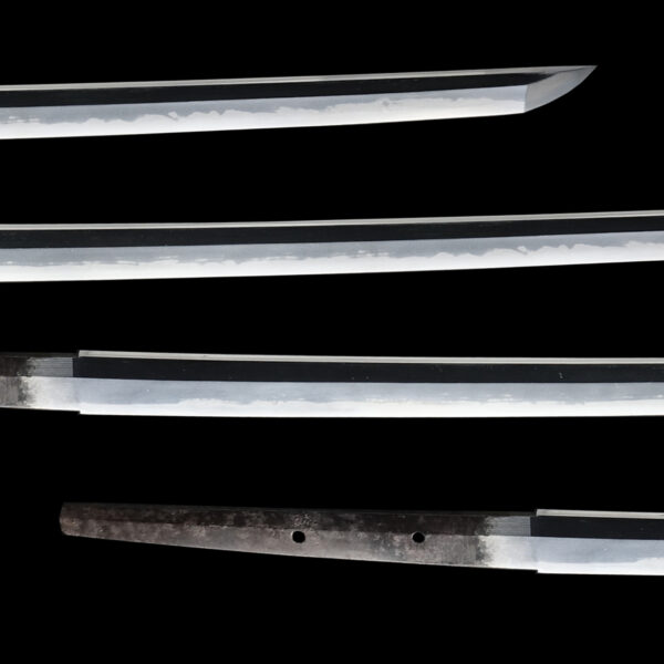 Antique Japanese Sword Katana signed by Tanba no Kami Yoshimichi <br>NBTHK<span style="color: #ff0000;"><strong> Tokubetsu Hozon</strong> </span>Certificate - Image 3