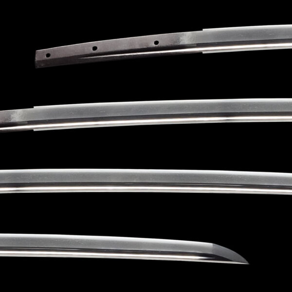 Antique Japanese Sword Katana Attributed to Kongo Hyoue<br> NBTHK<span style="color: #ff0000;"><strong> Tokubetsu Hozon</strong> </span>Certificate - Image 2