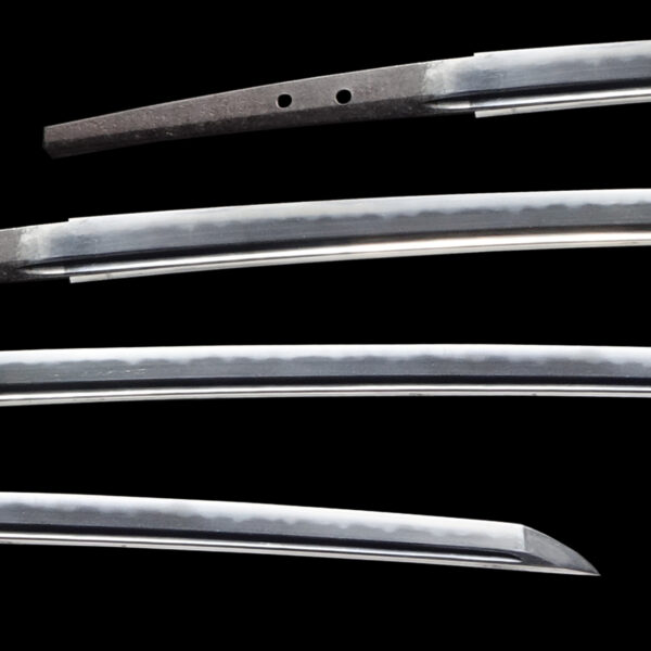 Antique Japanese Sword Katana Attributed to Hizen Kunihiro<br>NBTHK <span style="color: #ff0000;">Hozon </span>Certificate - Image 2