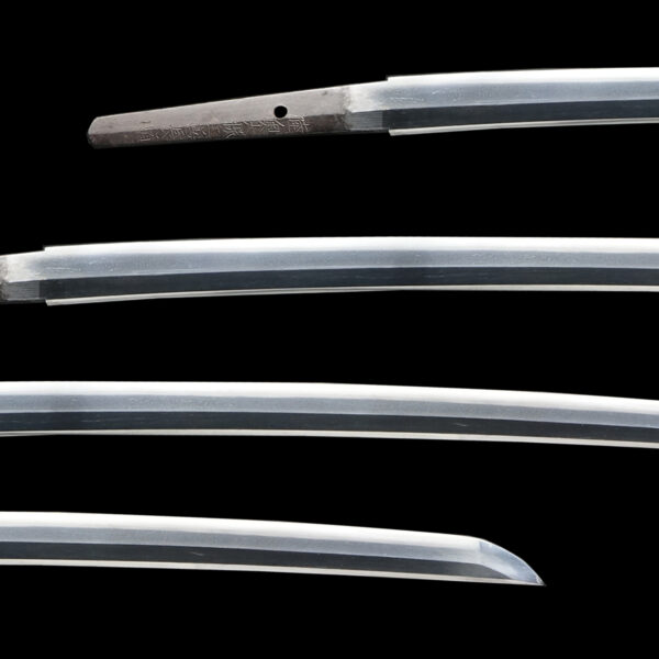 Antique Japanese Sword Wakizashi Signed by Nagamichi<br>NBTHK <span style="color: #ff0000;"><strong>Tokubetsu Hozon</strong> </span>Certificate - Image 2