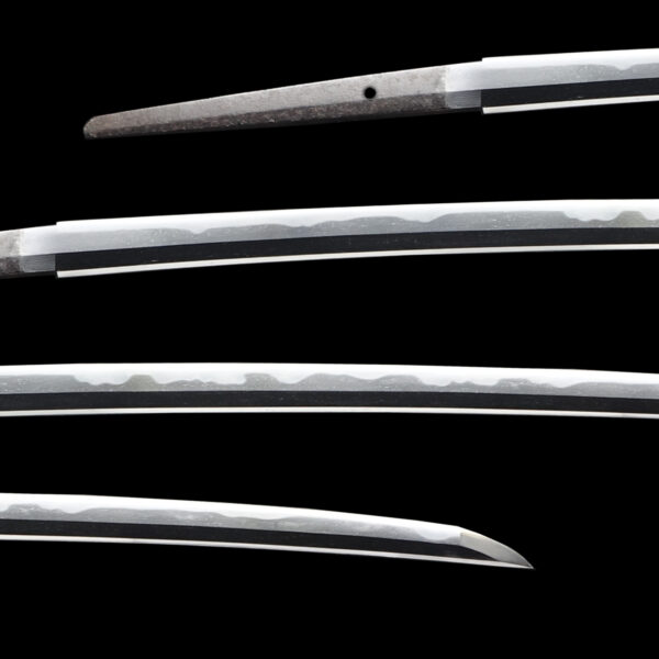Antique Japanese Sword Katana Signed by Yoshihiro <br>NBTHK <span style="color: #ff0000;">Hozon </span>Certificate - Image 2