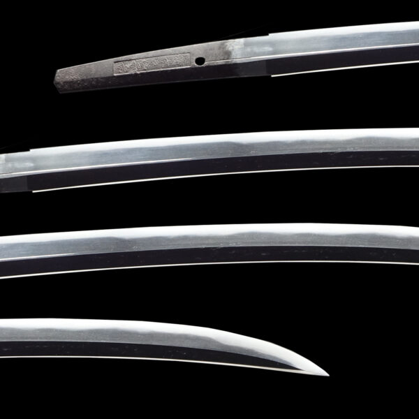 Antique Japanese Sword Wakizashi Signed by Morinaga<br><span style="color: #000000;">NBTHK <span style="color: #5accff;"><strong>JUYO TOKEN</strong></span> Certificate</span> - Image 2