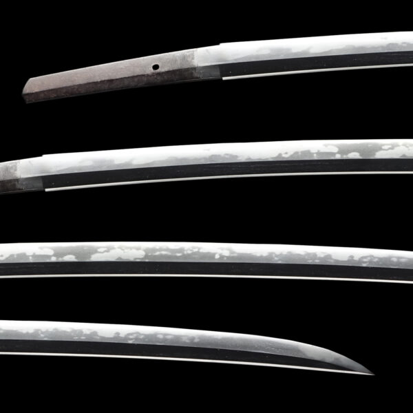 Antique Japanese Sword Katana Attributed to Yosozaemon Sukesada NBTHK Tokubetsu Kicho Certificate - Image 2