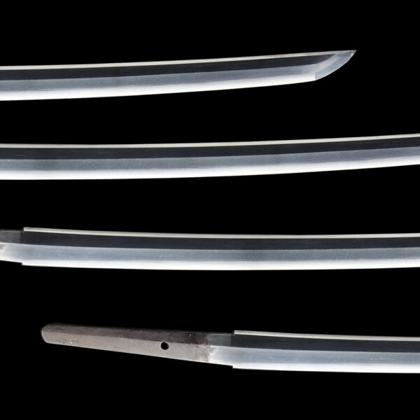 Antique Japanese Sword Wakizashi Signed by Nagamichi<br>NBTHK <span style="color: #ff0000;"><strong>Tokubetsu Hozon</strong> </span>Certificate - Image 3