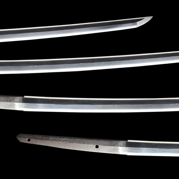 Antique Japanese Sword Katana Signed by Kunitsugu<br>NBTHK<span style="color: #ff0000;"><strong> Tokubetsu Hozon</strong> </span>Certificate - Image 3