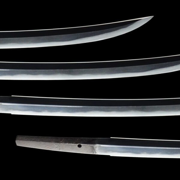 Antique Japanese Sword Wakizashi Signed by Morinaga<br><span style="color: #000000;">NBTHK <span style="color: #5accff;"><strong>JUYO TOKEN</strong></span> Certificate</span> - Image 3