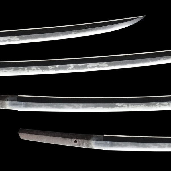 Antique Japanese Sword Katana Attributed to Yosozaemon Sukesada NBTHK Tokubetsu Kicho Certificate - Image 3