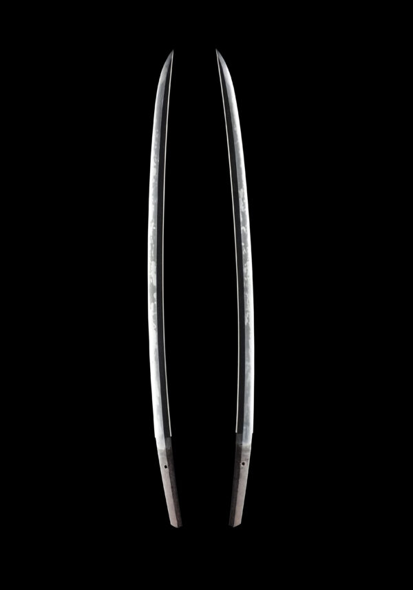 Antique Japanese Sword Katana Attributed to Yosozaemon Sukesada NBTHK Tokubetsu Kicho Certificate - Image 7
