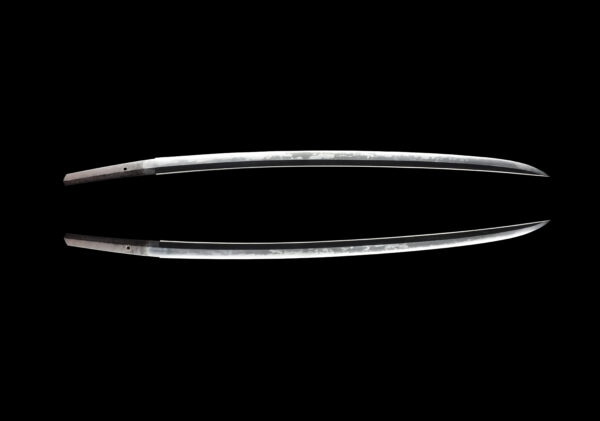 Antique Japanese Sword Katana Attributed to Yosozaemon Sukesada NBTHK Tokubetsu Kicho Certificate - Image 12