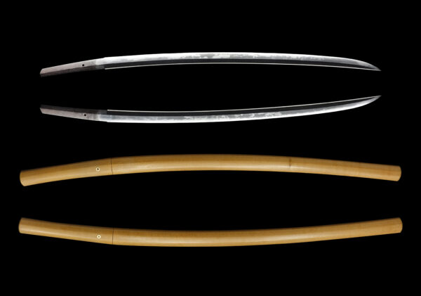 Antique Japanese Sword Katana Attributed to Yosozaemon Sukesada NBTHK Tokubetsu Kicho Certificate - Image 13