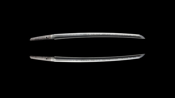 Antique Japanese Sword Wakizashi Signed by Sukenao<br>NBTHK <span style="color: #ff0000;"><strong>Tokubetsu Hozon</strong> </span>Certificate - Image 12
