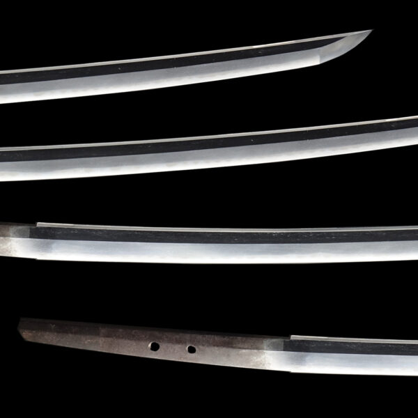 Antique Japanese Sword Katana Signed by Kanemoto <br>NBTHK<span style="color: #ff0000;"><strong> Tokubetsu Hozon</strong> </span>Certificate - Image 3