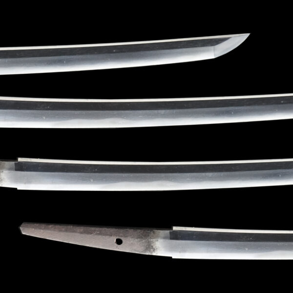 Antique Japanese Sword Wakizashi Signed by Yamato no Kami Yoshimichi<br>NBTHK <span style="color: #ff0000;"><strong>Tokubetsu Hozon</strong> </span>Certificate - Image 3