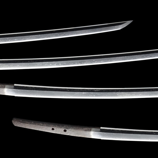 Antique Japanese Sword Tachi Attributed to Den Nioh <br>NBTHK<span style="color: #ff0000;"><strong> Tokubetsu Hozon</strong> </span>Certificate - Image 3