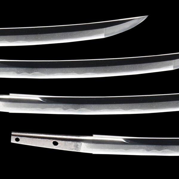Antique Japanese Sword Wakizashi Attributed to Ujifusa<br>NBTHK <span style="color: #ff0000;">Hozon</span> Certificate - Image 3