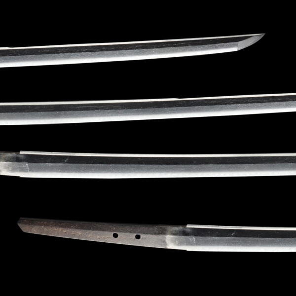 Antique Japanese Sword Katana Kin-zogan Mei Kanemoto <br>NBTHK<span style="color: #ff0000;"> Hozon </span>Certificate - Image 3