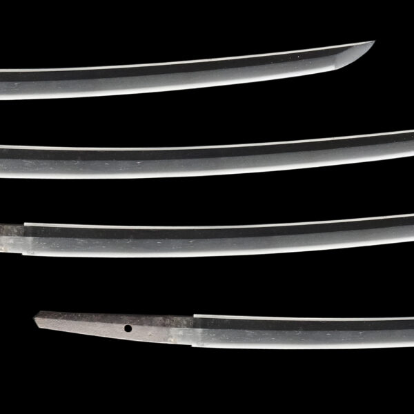 Antique Japanese Sword Wakizashi Signed by Tadahiro<br>NBTHK <span style="color: #ff0000;">Hozon </span>Certificate - Image 3