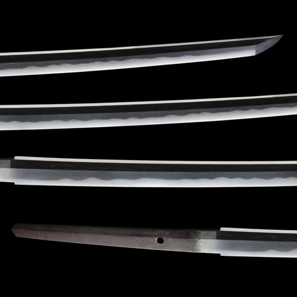 Antique Japanese Sword Katana Signed by 2nd gen Kinmichi<br>NBTHK<span style="color: #ff0000;"><strong> Tokubetsu Hozon</strong> </span>Certificate - Image 3