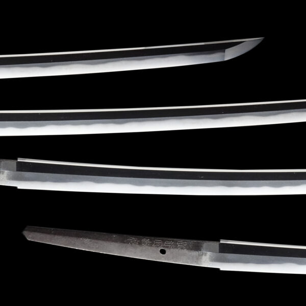 Antique Japanese Sword Katana Signed by 5th-gen Tadahiro<br> NBTHK<span style="color: #ff0000;"><strong> Tokubetsu Hozon</strong> </span>Certificate - Image 3