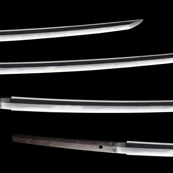 Antique Japanese Sword Katana <br>Signed by Kaneyasu <br>NBTHK </strong></span><span style="color: #ff0000;"><strong> Tokubetsu Hozon</strong></span> Certificate - Image 3
