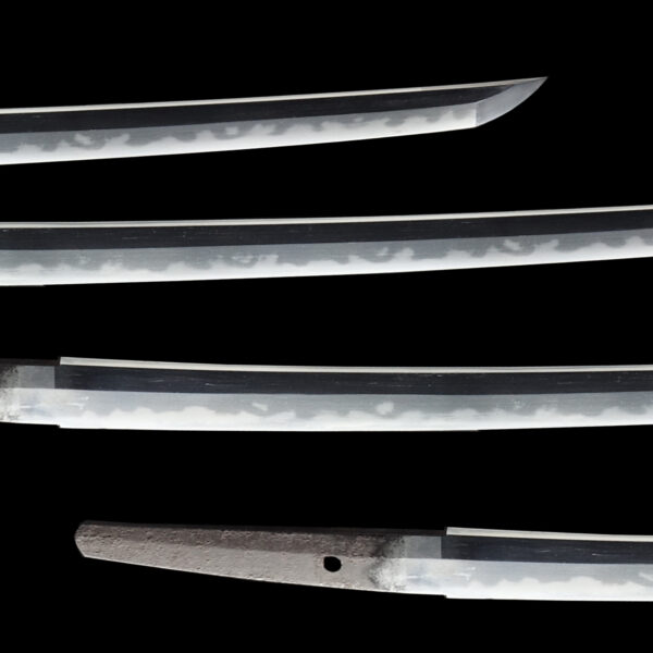 Antique Japanese Sword Wakizashi Attributed to Kaneuji<br> NTHK Kanteisho Certificate - Image 3