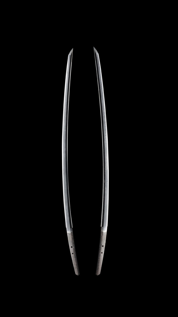 Antique Japanese Sword Tachi Attributed to Den Nioh <br>NBTHK<span style="color: #ff0000;"><strong> Tokubetsu Hozon</strong> </span>Certificate - Image 7