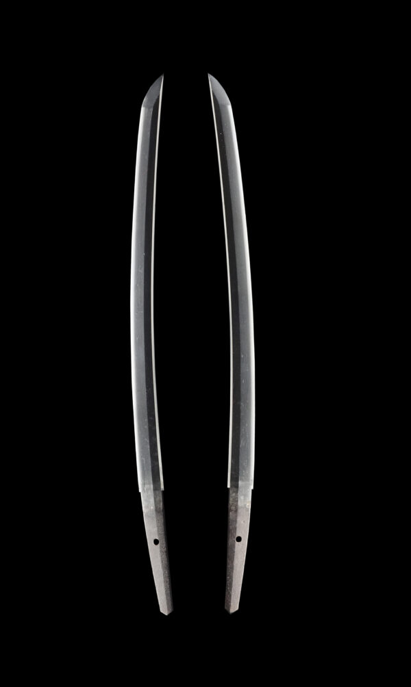 Antique Japanese Sword Wakizashi Signed by Tadahiro<br>NBTHK <span style="color: #ff0000;">Hozon </span>Certificate - Image 7