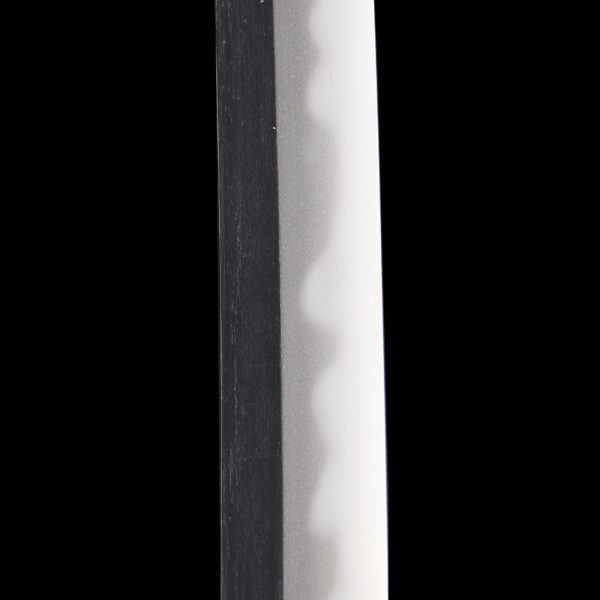 Antique Japanese Sword Wakizashi Signed by Sukenao<br>NBTHK <span style="color: #ff0000;"><strong>Tokubetsu Hozon</strong> </span>Certificate - Image 10