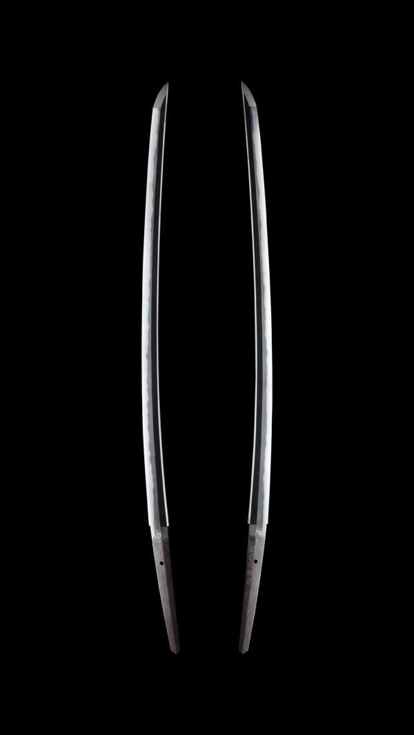 Antique Japanese Sword Katana Signed by 5th-gen Tadahiro<br> NBTHK<span style="color: #ff0000;"><strong> Tokubetsu Hozon</strong> </span>Certificate - Image 7