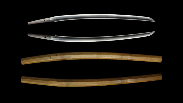 Antique Japanese Sword Wakizashi Signed by Tango no Kami Kanemichi<br> NBTHK Kicho Certificate - Image 13