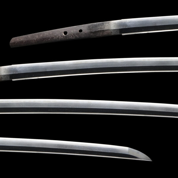 Antique Japanese Sword Katana Signed by Kanemoto <br>NBTHK<span style="color: #ff0000;"><strong> Tokubetsu Hozon</strong> </span>Certificate - Image 2
