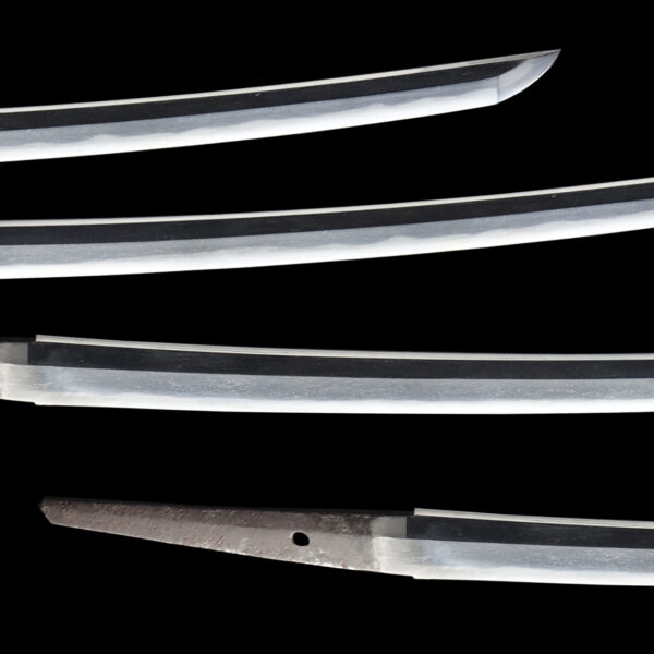 Antique Japanese Sword Wakizashi Signed by Shigeyoshi<br>NBTHK <span style="color: #ff0000;"><strong>Tokubetsu Hozon</strong> </span>Certificate - Image 3