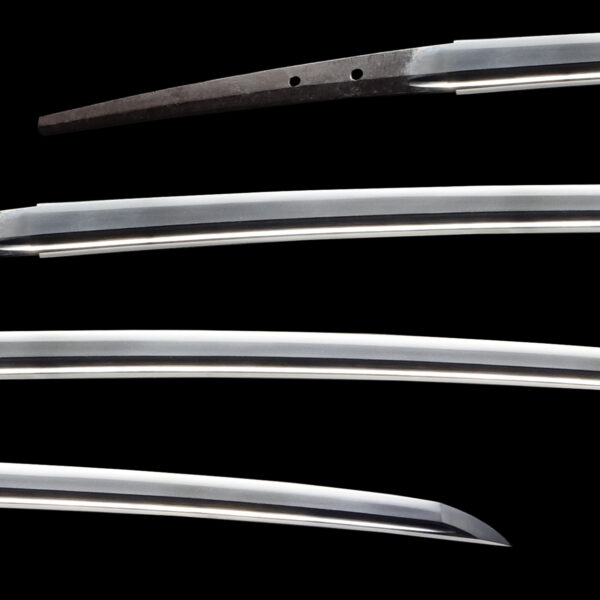 Antique Japanese Sword Katana Signed by Tadakuni <br>NBTHK <span style="color: #ff0000;"><strong>Tokubetsu Hozon</strong> </span>Certificate - Image 2