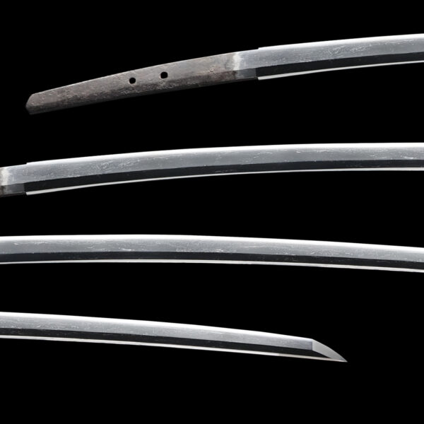 Antique Japanese Sword Tachi Attributed to Den Nioh <br>NBTHK<span style="color: #ff0000;"><strong> Tokubetsu Hozon</strong> </span>Certificate - Image 2