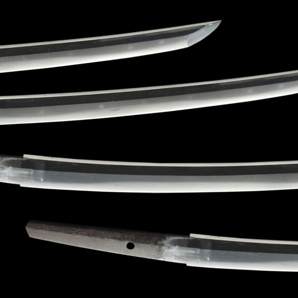 Antique Japanese Sword Wakizashi Signed by Tango no Kami Kanemichi<br> NBTHK Kicho Certificate - Image 3