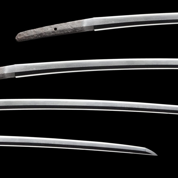 Antique Japanese Sword Tachi Attributed to Ko Naminohira <br>NBTHK<span style="color: #ff0000;"><strong> Tokubetsu Hozon</strong> </span>Certificate - Image 2