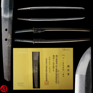 Antique Japanese Sword Katana Kin-zogan Mei Kanemoto <br>NBTHK<span style="color: #ff0000;"> Hozon </span>Certificate