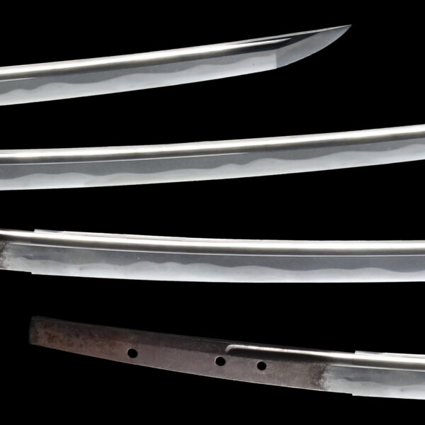 Antique Japanese Sword Katana Attributed to Den Suesa <br><span style="color: #000000;">NBTHK <span style="color: #5accff;"><strong>JUYO TOKEN</strong></span> Certificate</span> - Image 3