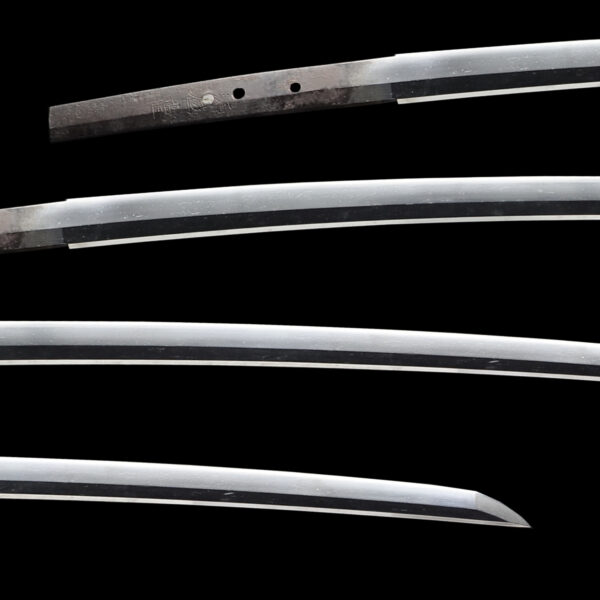 Antique Japanese Sword Katana Signed by Kongo Hyoei Morishige <br>NTHK Kanteisho Certificate - Image 2