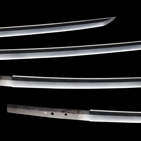 Antique Japanese Sword Katana Signed by Kongo Hyoei Morishige <br>NTHK Kanteisho Certificate - Image 3
