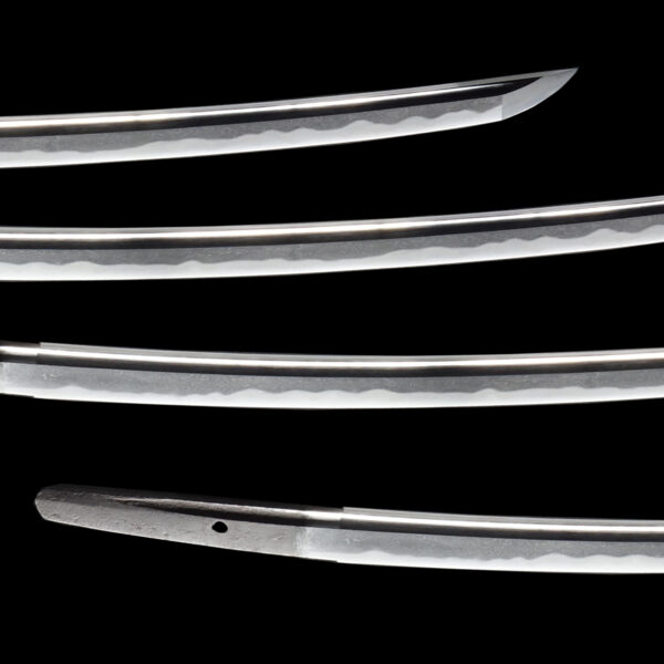 Antique Japanese Sword Wakizashi Attributed to Omiya <br>NBTHK <span style="color: #ff0000;"><strong> Tokubetsu Hozon</strong> </span>Certificate - Image 3