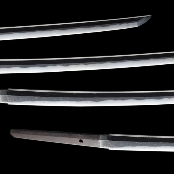 Antique Japanese Sword Katana Signed by Fujiwara Yukimitsu<br>NBTHK<span style="color: #ff0000;"><strong> Tokubetsu Hozon</strong> </span>Certificate - Image 3