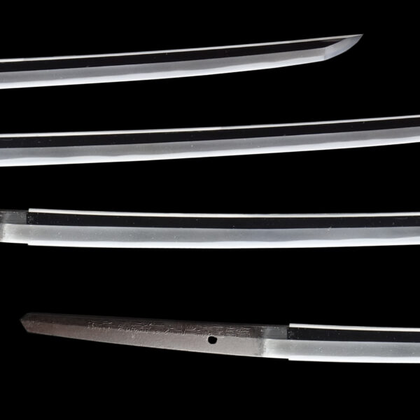 Antique Japanese Sword Katana Signed by Omi Daijo Fujiwara Tadahiro<br> NBTHK<span style="color: #ff0000;"><strong> Tokubetsu Hozon</strong> </span>Certificate - Image 3