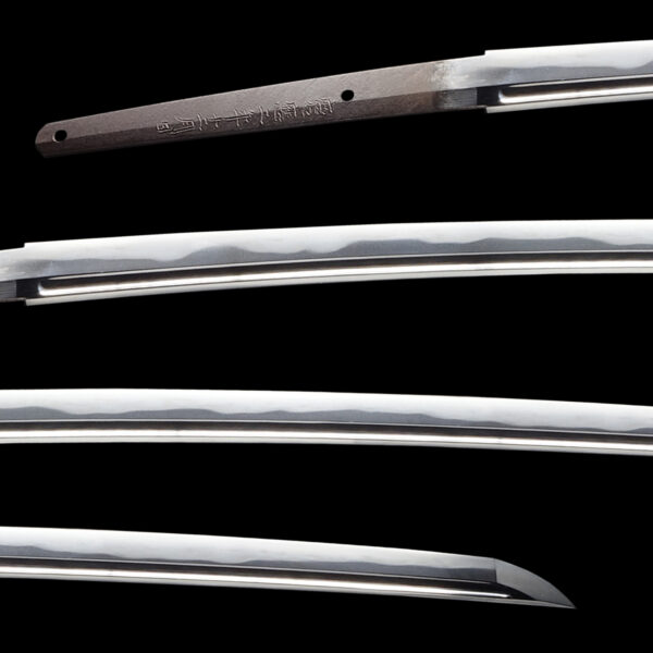 Antique Japanese Sword Katana Signed by Minamoto no Masakage <br>NBTHK<span style="color: #ff0000;"><strong> Tokubetsu Hozon</strong> </span>Certificate - Image 2