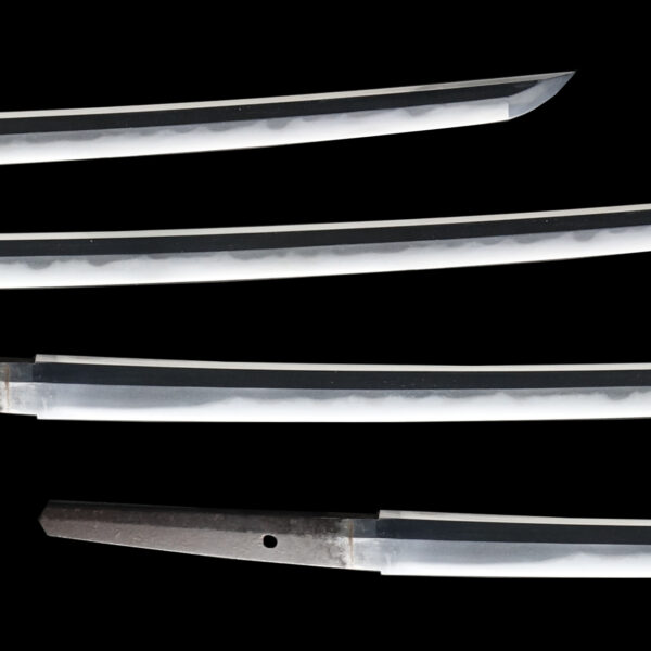 Antique Japanese Sword Katana Attributed to the first-gen Echigo no Kami Kanesada<br>NBTHK <span style="color: #ff0000;">Hozon </span>Certificate - Image 3