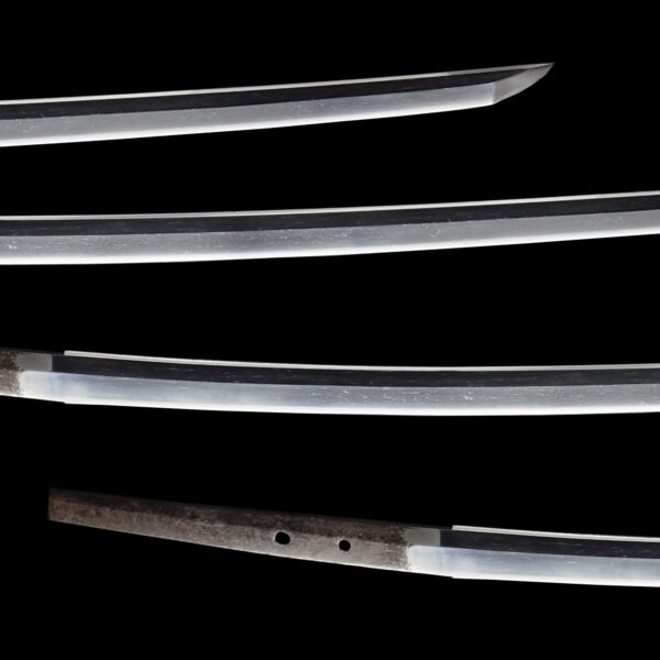 Antique Japanese Sword Katana Signed by Minamoto no Moritaka<br>NBTHK <span style="color: #ff0000;">Hozon </span>Certificate - Image 3