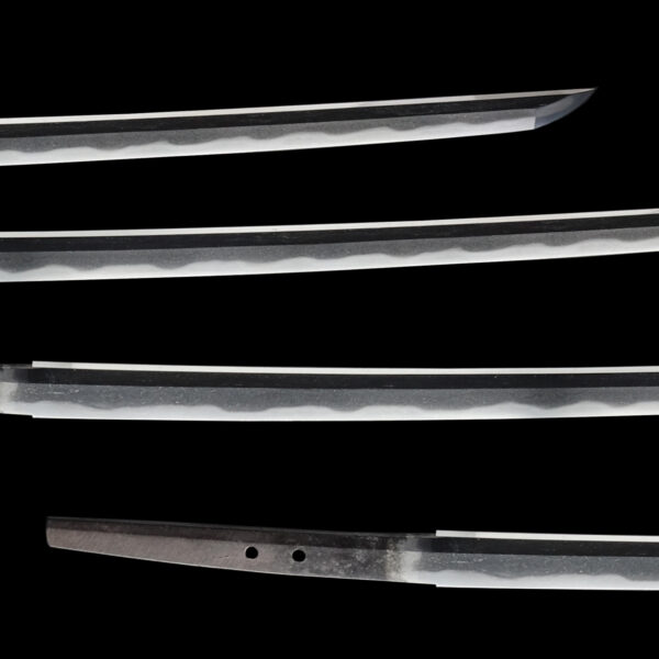 Antique Japanese Sword Katana Signed by Fujiwara Terukado<br>NBTHK<span style="color: #ff0000;"><strong> Tokubetsu Hozon</strong> </span>Certificate - Image 3