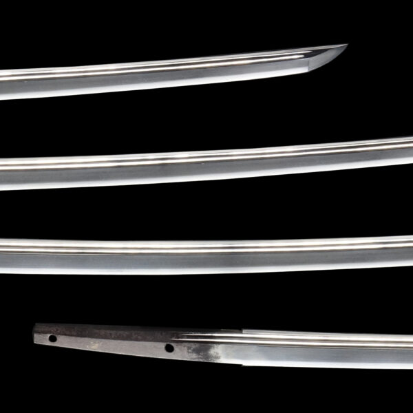 Antique Japanese Sword Katana Attributed to Enju<br>NBTHK<span style="color: #ff0000;"><strong> Tokubetsu Hozon</strong> </span>Certificate - Image 3