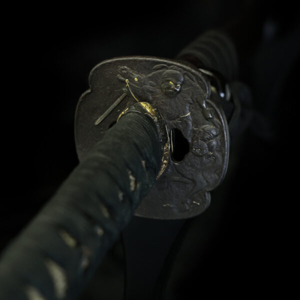 Antique Japanese Sword Katana Signed by Fujiwara Yukimitsu<br>NBTHK<span style="color: #ff0000;"><strong> Tokubetsu Hozon</strong> </span>Certificate - Image 15