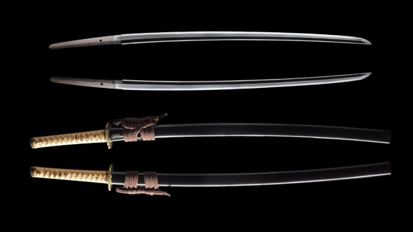 Antique Japanese Sword Katana Signed by Omi Daijo Fujiwara Tadahiro<br> NBTHK<span style="color: #ff0000;"><strong> Tokubetsu Hozon</strong> </span>Certificate - Image 13
